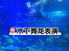 -太平洋海底世界