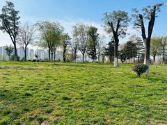 -汉长安城未央宫国家考古遗址公园