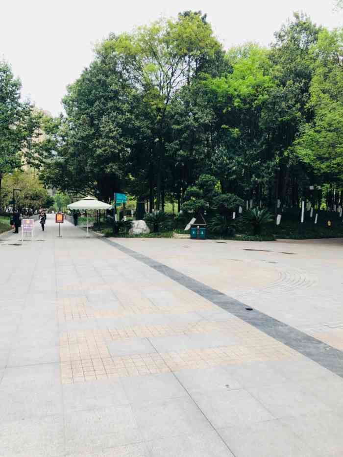 新都体育森林公园-"交通:在体育森林公园里,傍边不少人跳广.