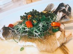 -伯衡55·吉品轩(乌鲁木齐南路店)