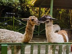 -杭州野生动物世界