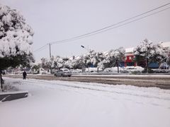 iphone_upload_pic-喜临门大饭店(金城店)