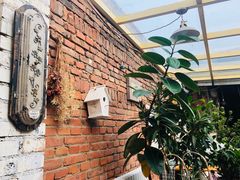 -西西这里民谣酒馆