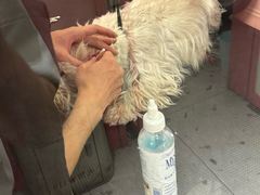 -FAELING PETS美天灵宠物(合生汇店)