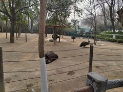 -郑州市动物园