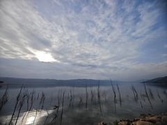 -阳宗海湿地