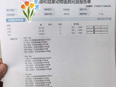 -谐和益家动物医院·免疫绝育·血液透析·宠保定点医院(高新伊藤分院)