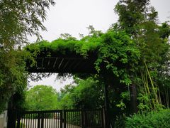-梁鸿国家湿地公园