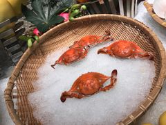 螃蟹-温州铂尔曼酒店蘭 咖啡厅