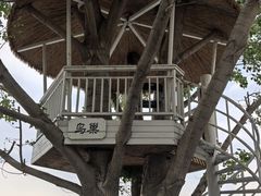 -观澜小洱海
