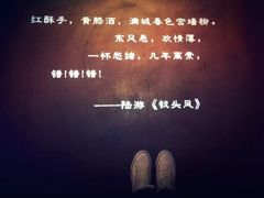 -胡桃里乐队酒馆(鎏嘉码头店)