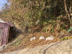 -狼山风景名胜区