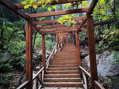 -大岭沟猕猴桃谷风景区