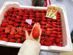 -西郊国际农产品交易中心