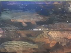 -青岛利群四方购物广场