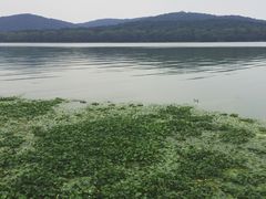 -蠡湖大桥公园
