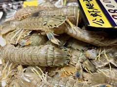 -渔娘渔家丹东海鲜(东直门店)