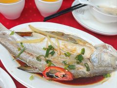 -蛇口康乐快餐鱼仔档(翠苑小区店)