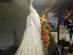 -滇野云南野生菌餐厅(陕西南路店)