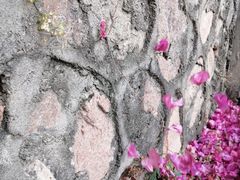 -小南山公园