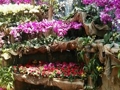 -南通洲际绿博园