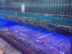 -海韵之星邮轮水会(明发商业广场店)