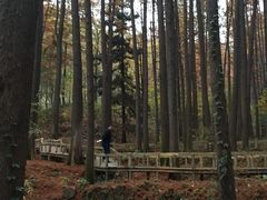 -波尔登森林公园