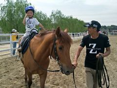 -月河湾马术俱乐部(朝阳店)