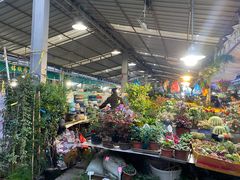 -曲阳花鸟市场(曲阳路店)