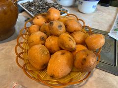 -蘑统田下·野生菌火锅