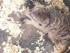 -奎屯友好时尚购物中心