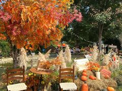 -HERRE·FARM 赫尔露营农场·团建聚会包场