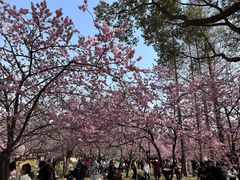 -无锡新湖铂尔曼大酒店