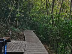 -上海佘山国家森林公园西佘山园