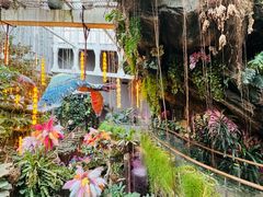 -正佳雨林生态植物园