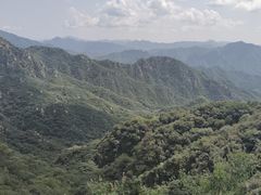 -大岭沟猕猴桃谷风景区