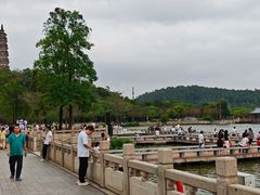 -顺峰山公园
