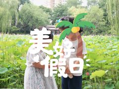 -莲湖公园