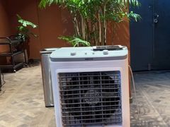 -滇野云南野生菌餐厅(陕西南路店)