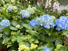 -人民公园(罗湖区)