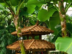 -石家庄市植物园