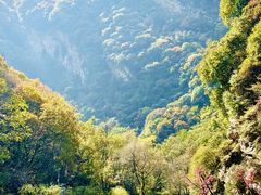 -少华山国家森林公园