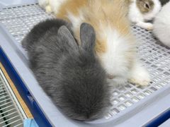 -三旗百汇商品城