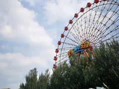 -皇家海洋乐园