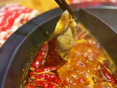 -蜀大侠火锅(森兰花园城店)