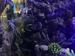 -欢乐海岸海洋奇梦馆