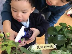 -奇乐全日制婴儿学校·早教