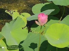 -祝甸砖窑文化馆