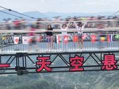 -梦幻奥陶纪景区