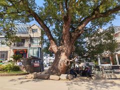 -清漾毛氏文化村